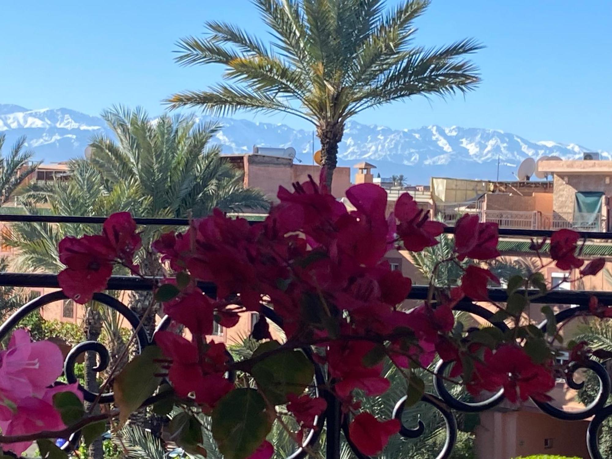 Riad Palmier Fleuri Marakeş Dış mekan fotoğraf