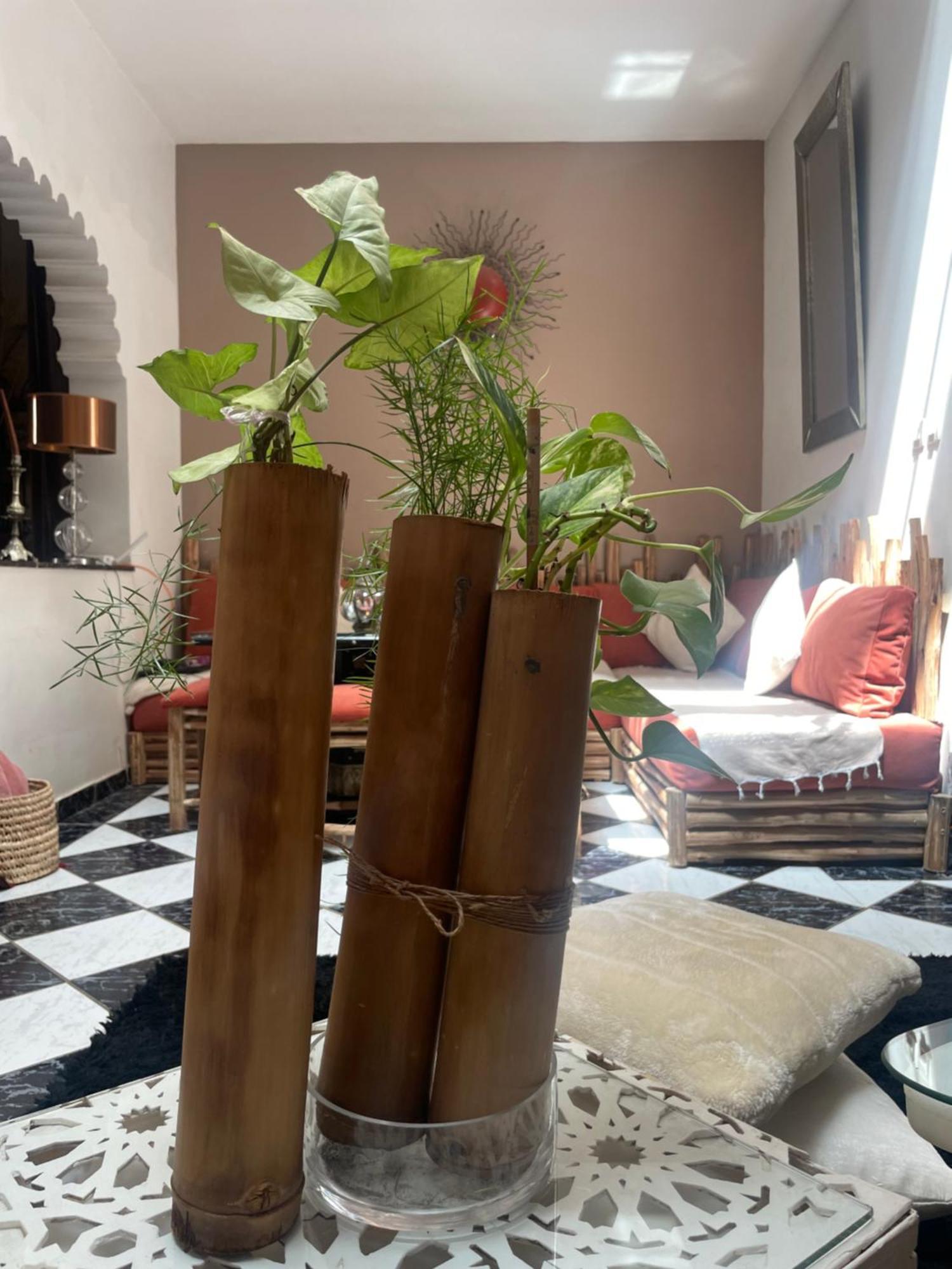 Riad Palmier Fleuri Marakeş Dış mekan fotoğraf